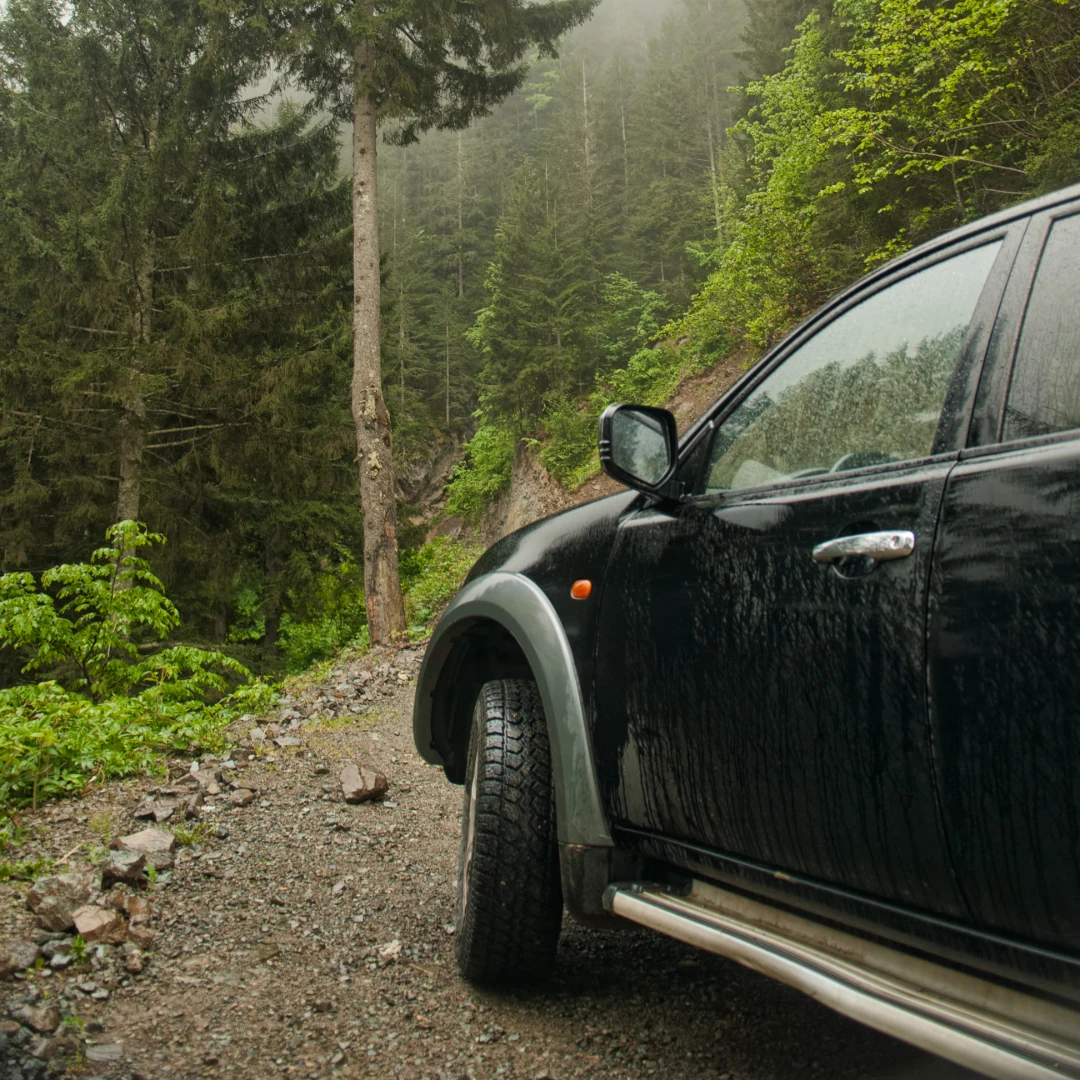 An off-road vehicle on a forest road under dense tree cover